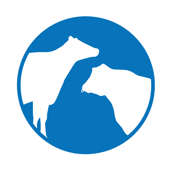 Heat Detection and Estrus Synchronization